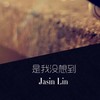 是我没想到 - 林振鑫