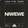 Niwewe - DJ Stavo&Dr Feel&Nes Mburu