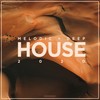 Windswept (Original Mix) - Murtagh