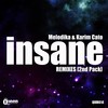 Insane (Adriel Barreto Remix) - Melodika&Karim Cato
