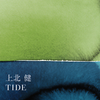 約束 - 上北健