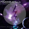 Pray Now ! (Dry & Bolinger Remix) - The Phunkguerilla&Cosmo Klein&Dry & Bolinger