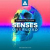 Senses Overload - Teminite&PsoGnar