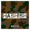 Hashish (Original Mix) - Dave Andres