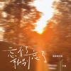 忘不了就别忘了 - 就是南方凯&于潼
