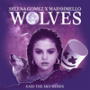 Wolves (Said The Sky Remix) - Selena Gomez&Marshmello