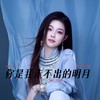 你是我走不出的明月 - 王思雨