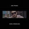 Kapalı Zindanlara - Anıl Piyancı
