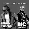 Pa Kale Kò W Sou Mwen - PEDRO FORCE&BIC Tizon dife