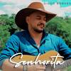 Senhorita - Diego Borges