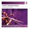78. Wir setzen uns mit Tränen nieder (Album Version) - Helmut Rilling&Bach Collegium Stuttgart&Gachinger Kantorei&Johann Sebastian Bach