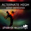 Instant Gratification (Extended Mix) - Alternate High