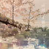 나의 4월은 - 노형우
