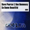 So Damn Beautiful (Radio Edit) - Dave Pearce&Ben Hennessy