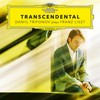 Liszt: 3 Études de Concert, S. 144: No. 3 in D-Flat Major 