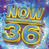Bellissima - DJ Quicksilver