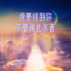 我要找到你不管南北东西 - 一两小窝