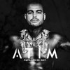 LDC - Atim