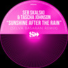 Sunshine After The Rain (Selva Basaran Remix) - Seb Skalski&Tascha Johnson&Selva Basaran