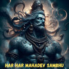 Har Har Mahadev Sambhu - Sorojit Biswas&Aparna Das