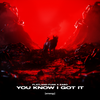 You Know I Got It (Explicit) - Flatland Funk&ZABO