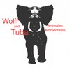 Bisonte - Wolff&Tuba