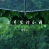 三月里的小雨 - 赵十三