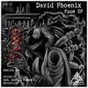 Fuse (Earl Grau & Werner B. Remix) - David Phoenix&Werner B.&Earl Grau