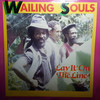 Them A Fret - Wailing Souls