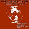 Animalisix (Original Mix) - Sergy Casttle