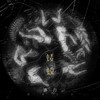 蝼蚁 - 迪力