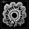 Toroidal - Marbs