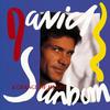 Tintin (Album Version) - David Sanborn