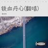 铁血丹心 (cover: 罗文|甄妮) - 张文杰