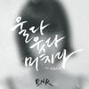 울다 웃다 미치다 (feat. 디아나) - BNR&Diana