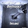 Insane (Original Mix) - Oditvosky