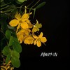 沦陷 - BURY