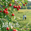 山楂树之恋 (DJ版) - 牙箍妹