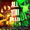 All You Need - Noise Of Aggression&Mvrs&Victus