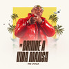 Um Brinde A Vida Mansa - MC Jvila&DJ Dael