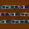 You’ve Really Got a Hold on Me (Bonus Track) - Frank Fitzpatrick&Hidden Faces