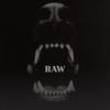 RAW - DestYs