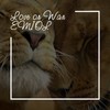 Love or War (Chillout Mix) - EMIOL