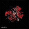 Vision - Mattone