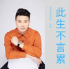 此生不言累 - 王东