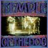 All Night Thing (Album Version) - Temple of the Dog