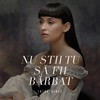 Nu Stii Tu Sa Fii Barbat - Irina Rimes