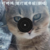 来财-天上掉下来个瘪老仔 (cover: 北昼) - 孤鴻