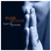 A Summer Night's Dream - Euge Groove