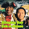 Counting The Vibes - Eek-A-Mouse&Stinging Ray[欧美]